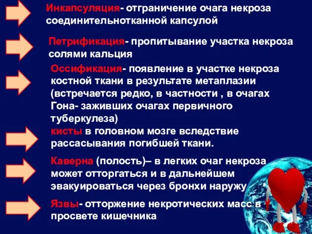 Инкапсуляция- отграничение очага некроза соединительнотканной капсулой Петрификация- пропитывание участка некроза солями