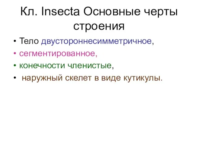 Кл. Insecta Основные черты строения Тело двустороннесимметричное, сегментированное, конечности членистые, наружный скелет в виде кутикулы.