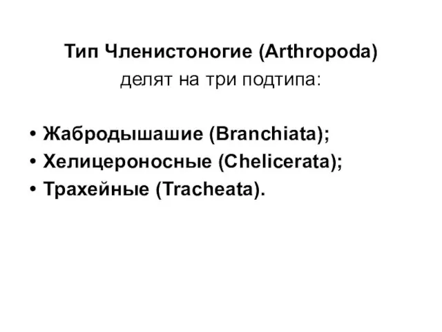 Тип Членистоногие (Arthropoda) делят на три подтипа: Жабродышашие (Branchiata); Хелицероносные (Chelicerata); Трахейные (Tracheata).