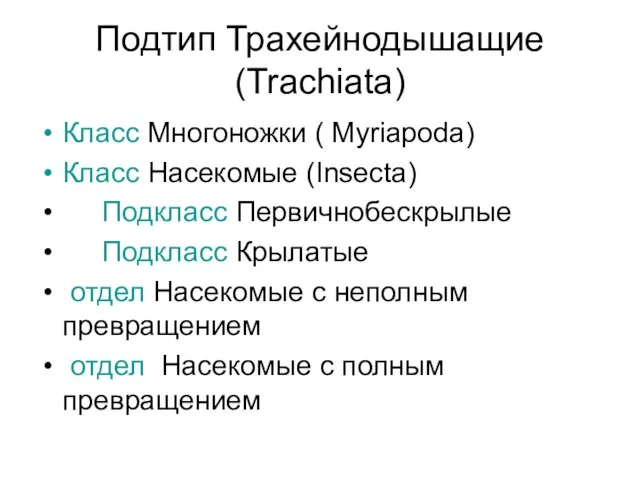 Подтип Трахейнодышащие (Trachiata) Класс Многоножки ( Myriapoda) Класс Насекомые (Insecta) Подкласс