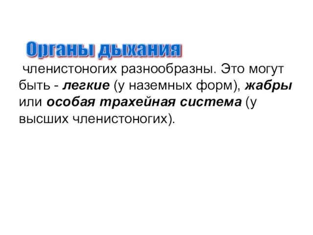 членистоногих разнообразны. Это могут быть - легкие (у наземных форм), жабры