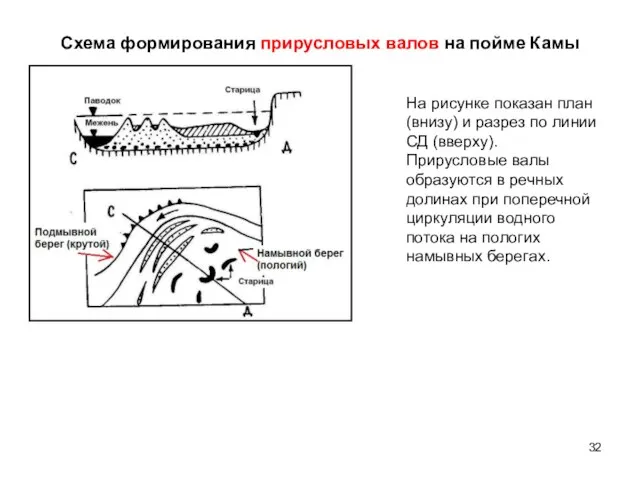 Схема формирования прирусловых валов на пойме Камы На рисунке показан план