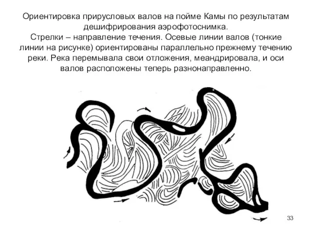 Ориентировка прирусловых валов на пойме Камы по результатам дешифрирования аэрофотоснимка. Стрелки