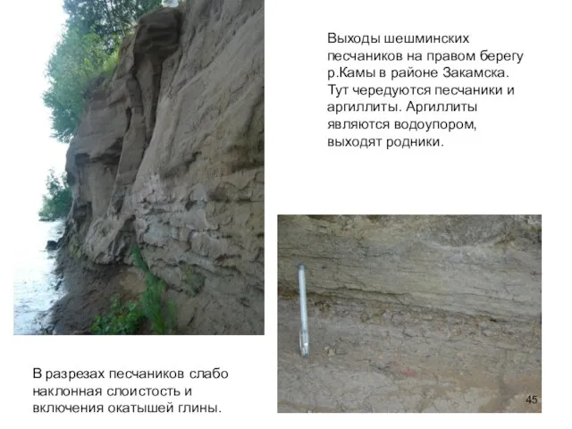 Выходы шешминских песчаников на правом берегу р.Камы в районе Закамска. Тут