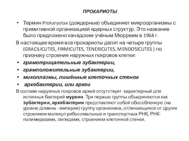 ПРОКАРИОТЫ Термин Prokaryotae (доядерные) объединяет микроорганизмы с примитивной организацией ядерных структур.