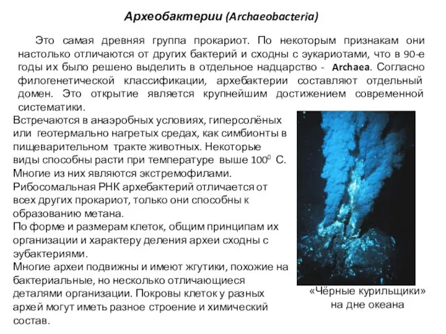 Археобактерии (Archaeobacteria) Это самая древняя группа прокариот. По некоторым признакам они