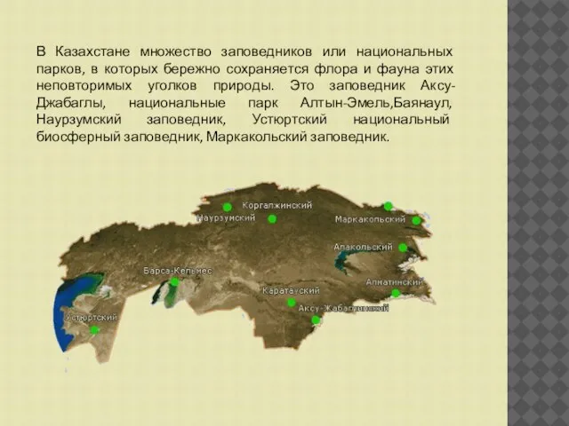 В Казахстане множество заповедников или национальных парков, в которых бережно сохраняется