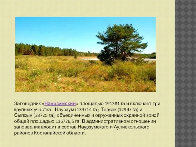 Заповедник «Наурзумский» площадью 191381 га и включает три крупных участка -