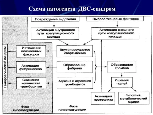 Схема патогенеза ДВС-синдром