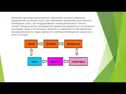 Основной причиной возникновения пролежней является давление, оказываемое на мягкие ткани. Для