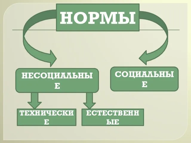 НОРМЫ НЕСОЦИАЛЬНЫЕ СОЦИАЛЬНЫЕ ТЕХНИЧЕСКИЕ ЕСТЕСТВЕННЫЕ