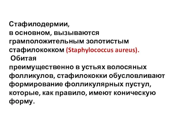 Стафилодермии, в основном, вызываются грамположительным золотистым стафилококком (Staphylococcus aureus). Обитая преимущественно