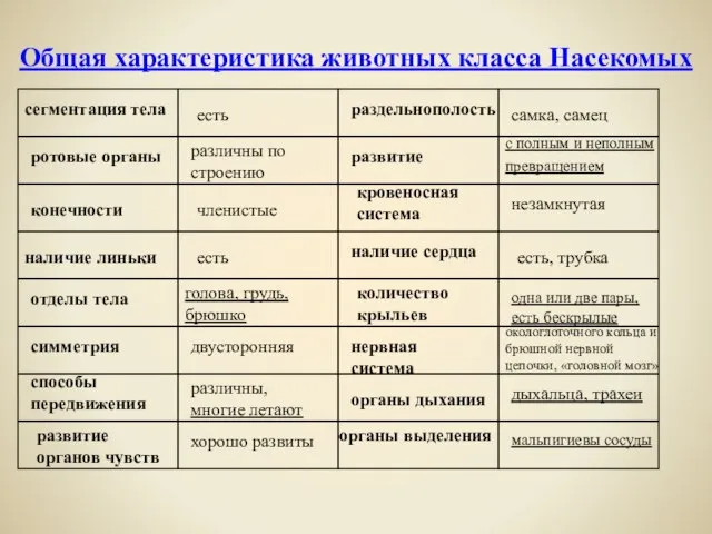 Общая характеристика животных класса Насекомых сегментация тела ротовые органы конечности наличие