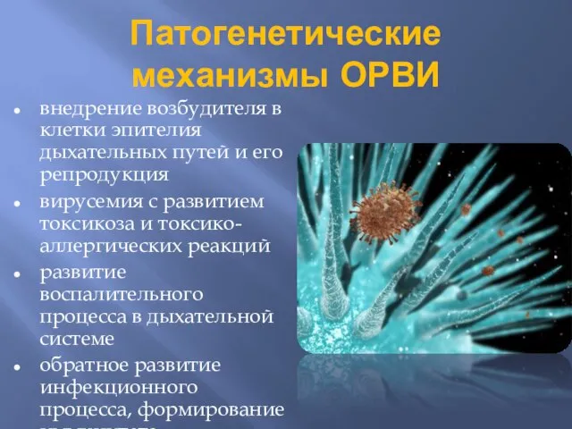 Патогенетические механизмы ОРВИ внедрение возбудителя в клетки эпителия дыхательных путей и