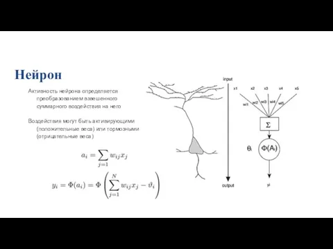 Активность нейрона определяется преобразованием взвешенного суммарного воздействия на него Воздействия могут