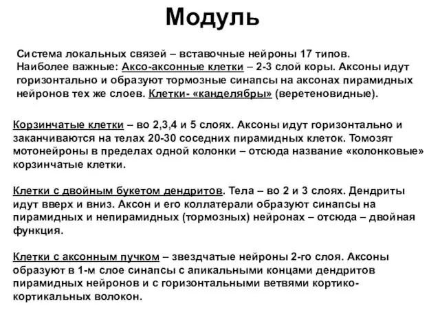 Модуль Корзинчатые клетки – во 2,3,4 и 5 слоях. Аксоны идут