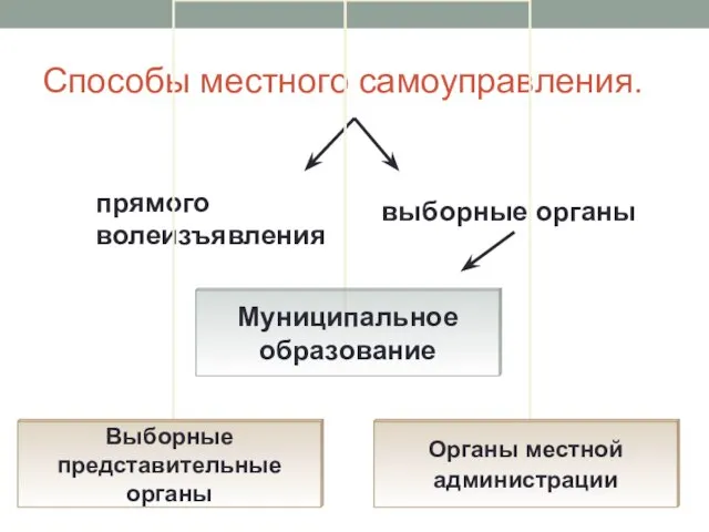 Способы местного самоуправления. прямого волеизъявления выборные органы