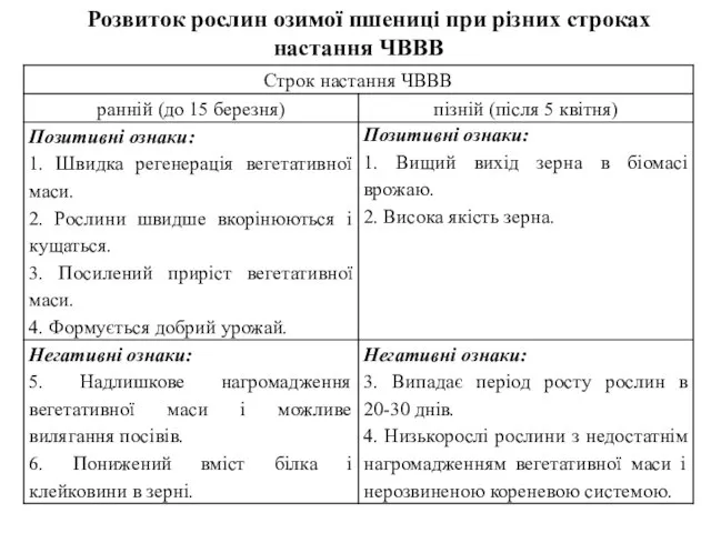 Розвиток рослин озимої пшениці при різних строках настання ЧВВВ