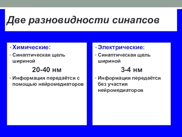 Две разновидности синапсов Химические: Синаптическая щель шириной 20-40 нм Информация передаётся