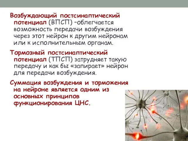 Возбуждающий постсинаптический потенциал (ВПСП) –облегчается возможность передачи возбуждения через этот нейрон