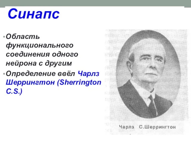 Синапс Область функционального соединения одного нейрона с другим Определение ввёл Чарлз Шеррингтон (Sherrington C.S.)