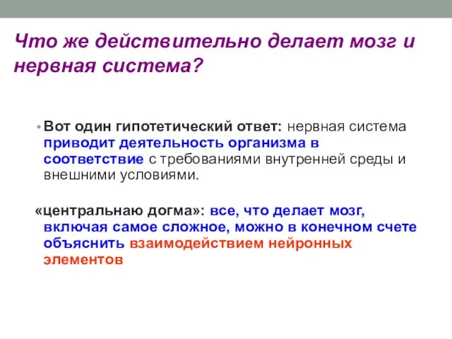 Что же действительно делает мозг и нервная система? Вот один гипотетический