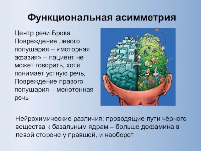 Центр речи Брока Повреждение левого полушария – «моторная афазия» – пациент