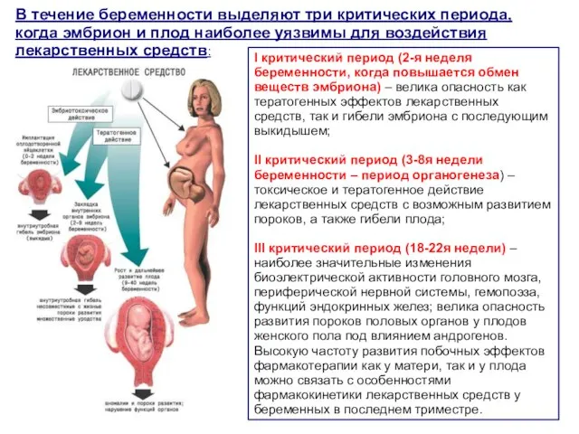 I критический период (2-я неделя беременности, когда повышается обмен веществ эмбриона)