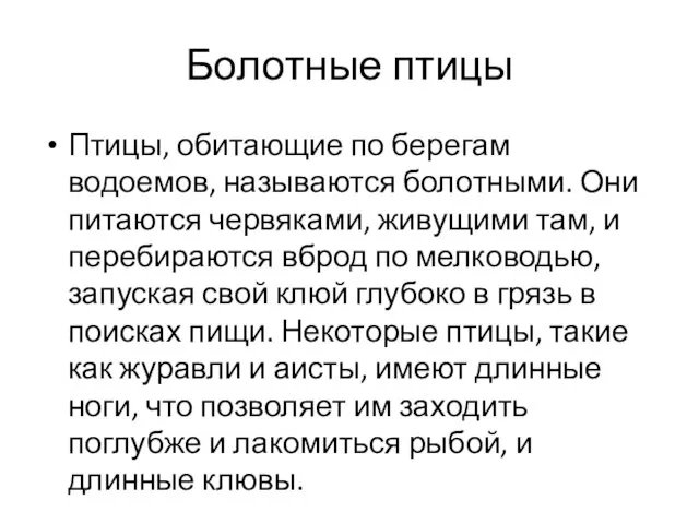 Болотные птицы Птицы, обитающие по берегам водоемов, называются болотными. Они питаются