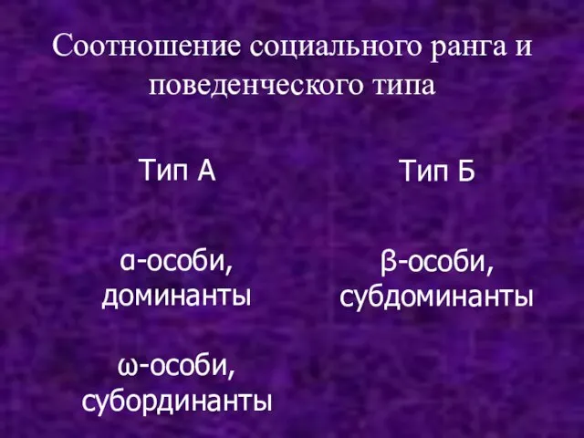 Соотношение социального ранга и поведенческого типа Тип А α-особи, доминанты ω-особи, субординанты Тип Б β-особи, субдоминанты