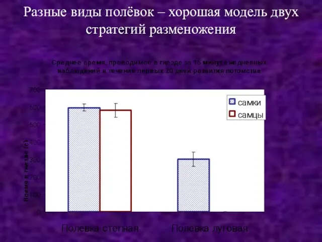 Разные виды полёвок – хорошая модель двух стратегий разменожения