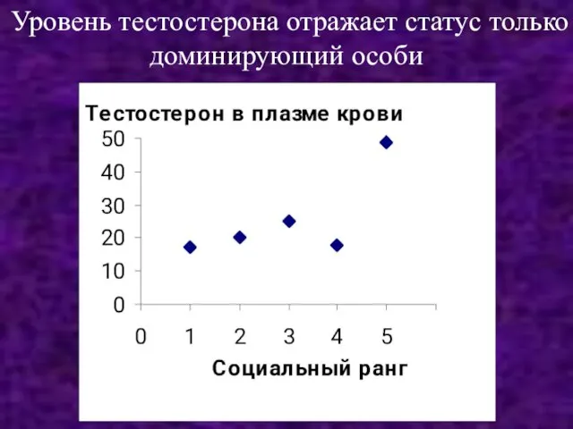 Уровень тестостерона отражает статус только доминирующий особи