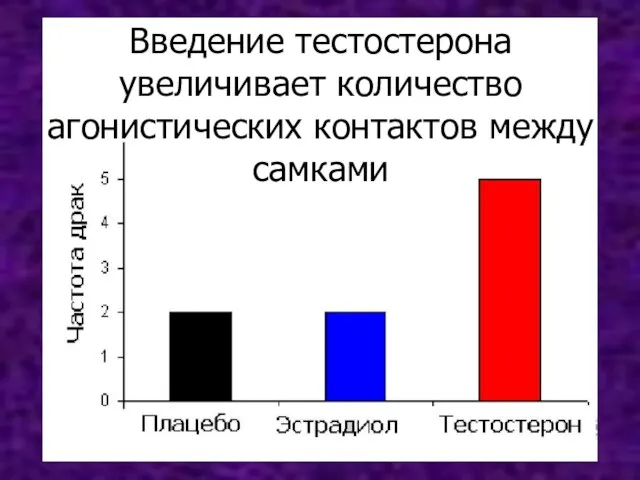 Введение тестостерона увеличивает количество агонистических контактов между самками