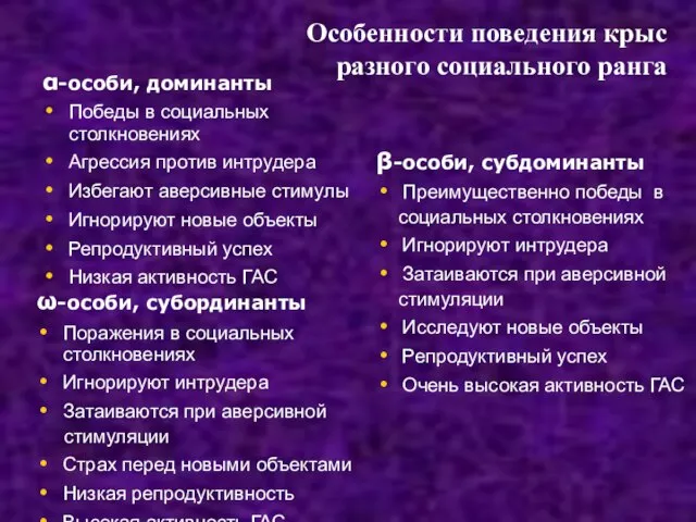 Особенности поведения крыс разного социального ранга α-особи, доминанты Победы в социальных