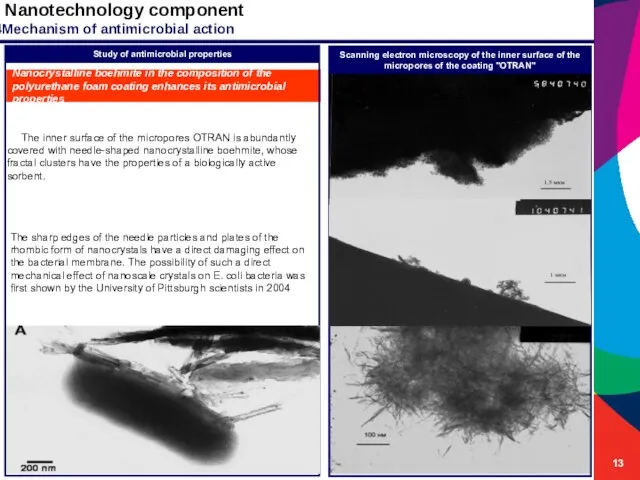 Nanotechnology component Scanning electron microscopy of the inner surface of the