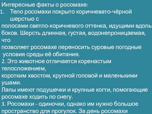 Интересные факты о росомахе: Тело росомахи покрыто коричневато-чёрной шерстью с полосами