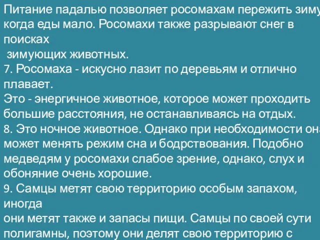 Питание падалью позволяет росомахам пережить зиму, когда еды мало. Росомахи также