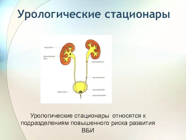 Урологические стационары Урологические стационары относятся к подразделениям повышенного риска развития ВБИ