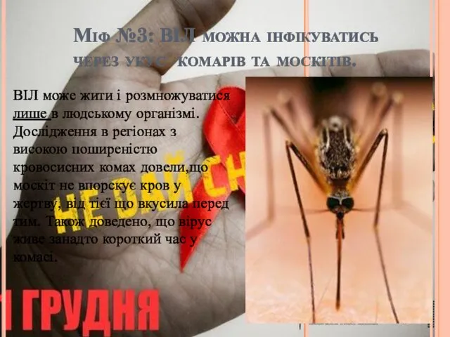 Міф №3: ВІЛ можна інфікуватись через укус комарів та москітів. ВІЛ