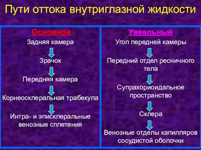 Пути оттока внутриглазной жидкости