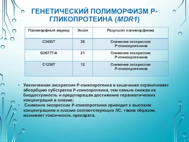 ГЕНЕТИЧЕСКИЙ ПОЛИМОРФИЗМ P-ГЛИКОПРОТЕИНА (MDR1) Увеличенная экспрессия P-гликопротеина в кишечнике ограничивает абсорбцию