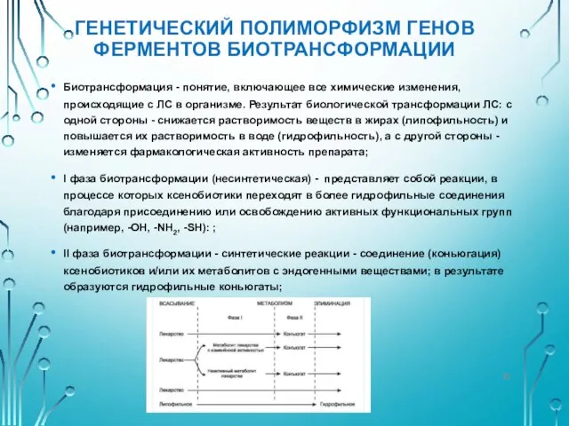 ГЕНЕТИЧЕСКИЙ ПОЛИМОРФИЗМ ГЕНОВ ФЕРМЕНТОВ БИОТРАНСФОРМАЦИИ Биотрансформация - понятие, включающее все химические