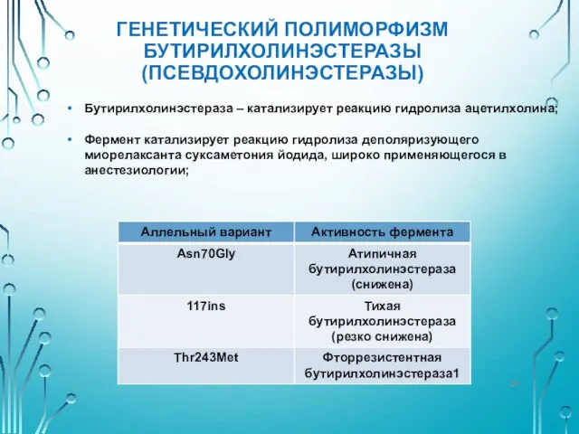 ГЕНЕТИЧЕСКИЙ ПОЛИМОРФИЗМ БУТИРИЛХОЛИНЭСТЕРАЗЫ (ПСЕВДОХОЛИНЭСТЕРАЗЫ) Бутирилхолинэстераза – катализирует реакцию гидролиза ацетилхолина; Фермент