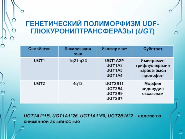 ГЕНЕТИЧЕСКИЙ ПОЛИМОРФИЗМ UDF-ГЛЮКУРОНИЛТРАНСФЕРАЗЫ (UGT) UGT1A1*1B, UGT1A1*26, UGT1A1*60, UGT2B15*2 – аллели со сниженной активностью