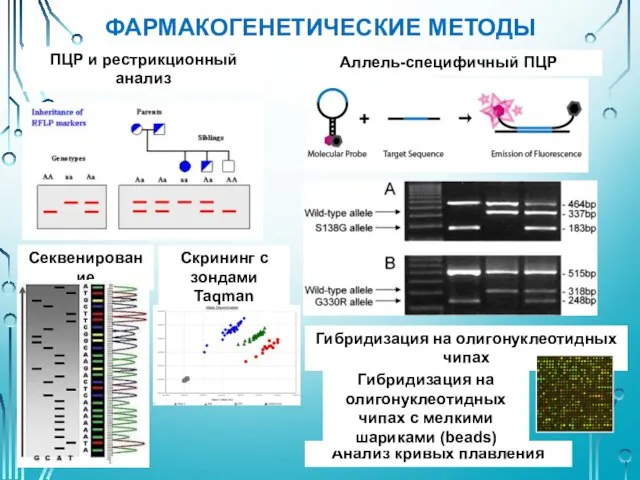 ФАРМАКОГЕНЕТИЧЕСКИЕ МЕТОДЫ ПЦР и рестрикционный анализ Аллель-специфичный ПЦР Секвенирование Скрининг с