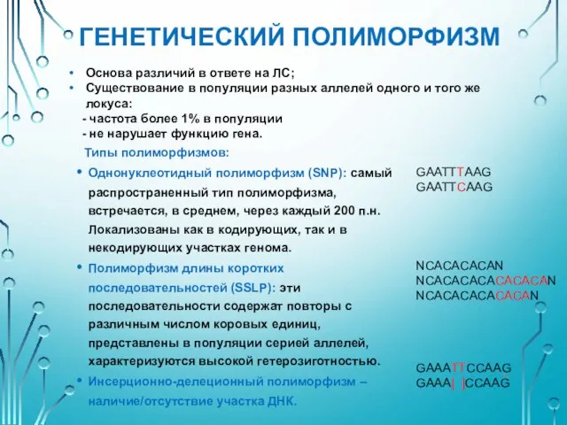 ГЕНЕТИЧЕСКИЙ ПОЛИМОРФИЗМ Типы полиморфизмов: Однонуклеотидный полиморфизм (SNP): самый распространенный тип полиморфизма,