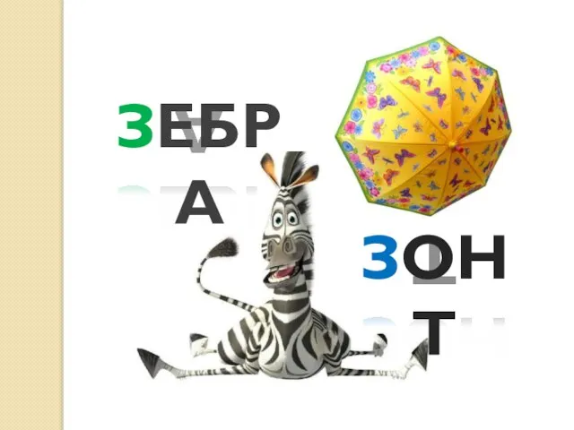 ЗЕБРА ЗОНТ