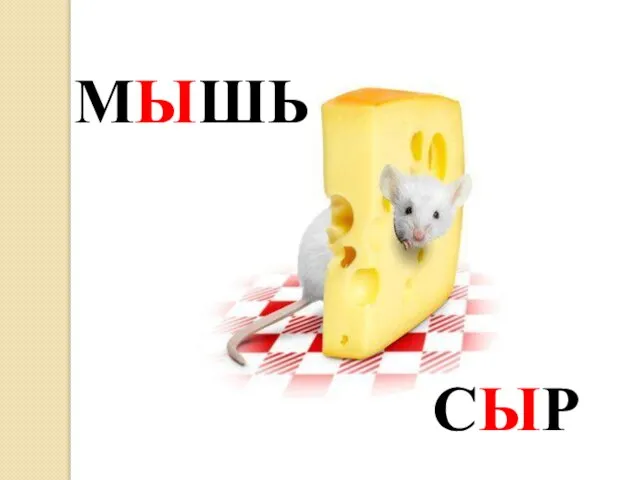 МЫШЬ СЫР