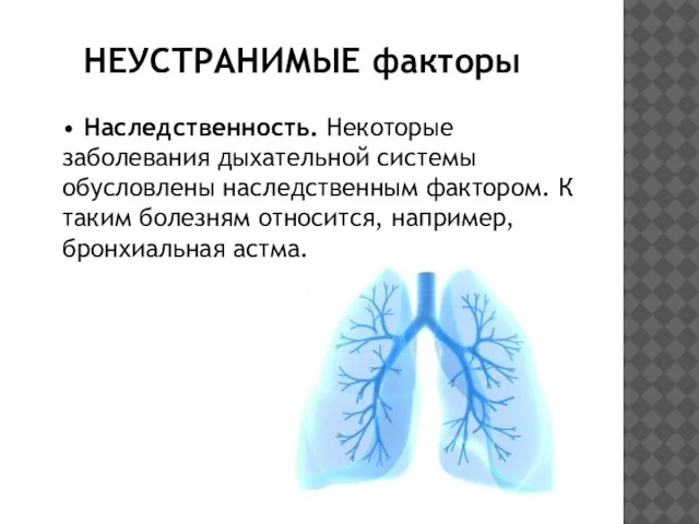 НЕУСТРАНИМЫЕ факторы • Наследственность. Некоторые заболевания дыхательной системы обусловлены наследственным фактором.