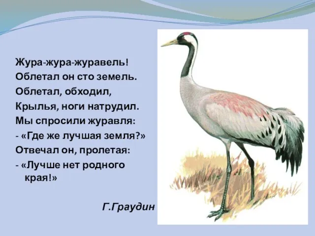 Жура-жура-журавель! Облетал он сто земель. Облетал, обходил, Крылья, ноги натрудил. Мы